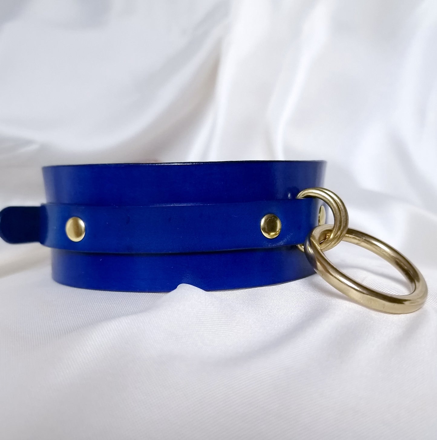 Royal Blue Collar with Solid Brass O-Ring.